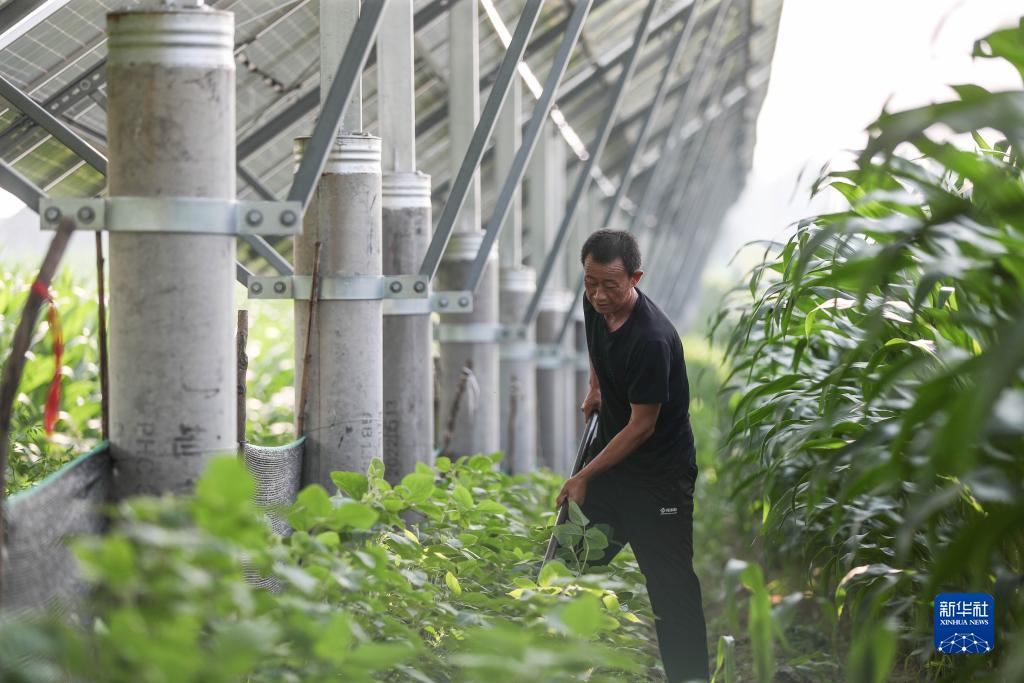 澳新娱乐怎么样