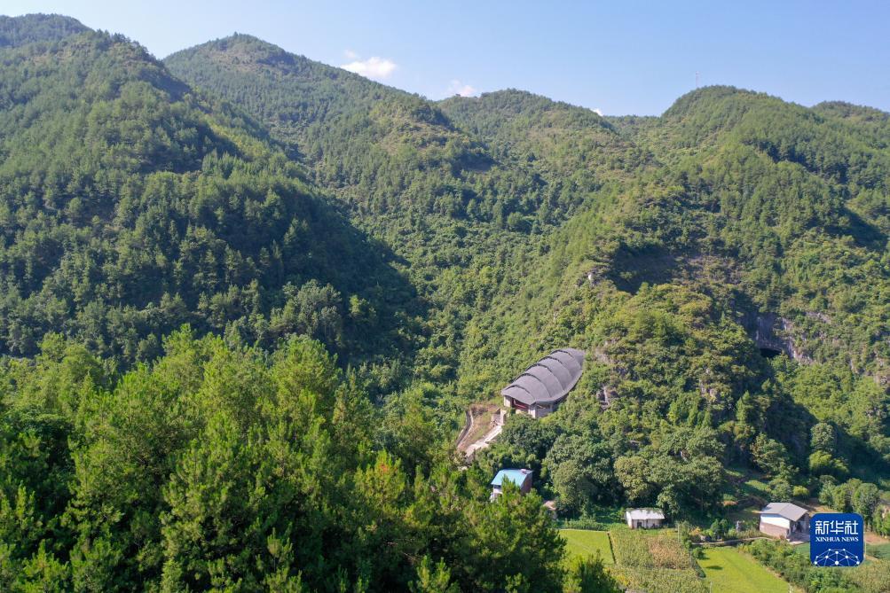 老虎机密码是多少