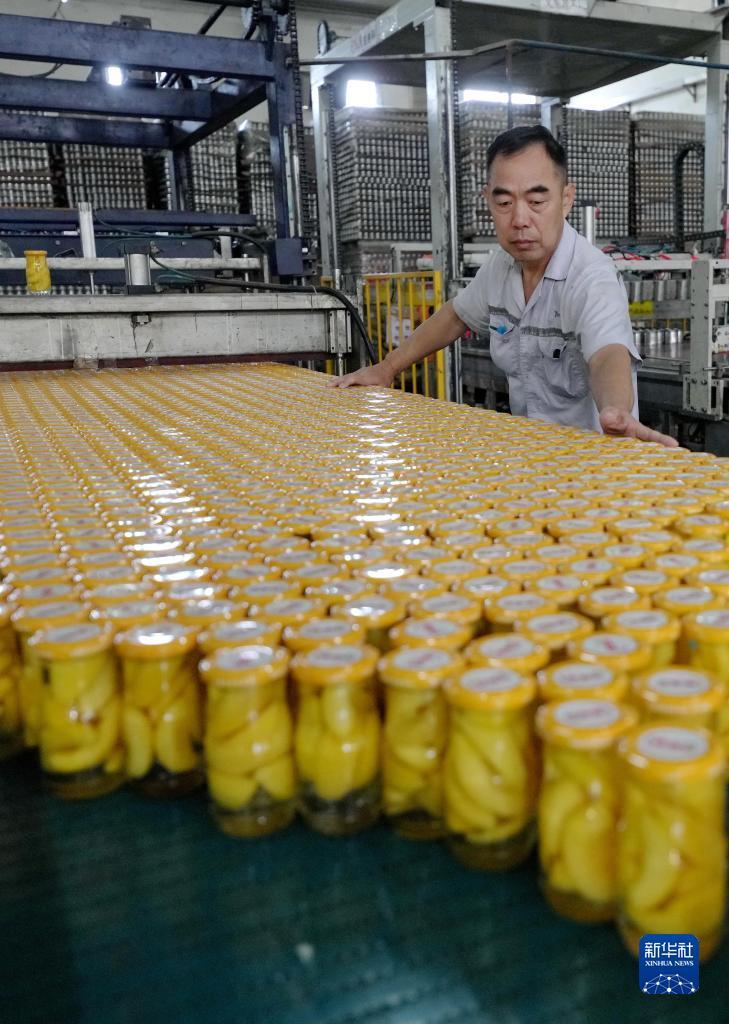白菜开户送体验金论坛